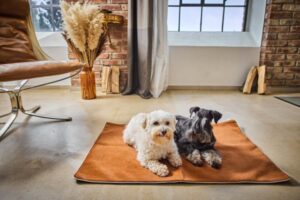 Laboni Hundedecke BUFFALO cooler Vintage-Leder Look