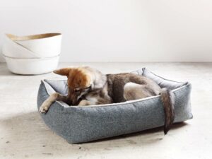 Laboni ORTHO - Orthopädisches Hundebett  SCALA