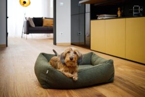 Laboni ORTHO - Orthopädisches Hundebett TEDDY incl. CoolPlus Incontinence - Sicherer Schutz bei Inkontinenz!