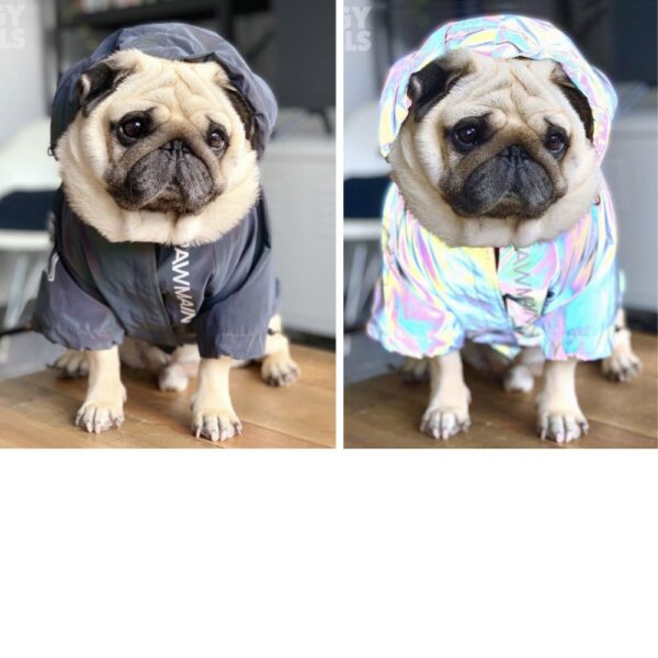 Winddichter und regendichter North Dog Face Dog Großer Hunderegenmantel Hund Haustier Stormtrooper Mantel – Bild 5