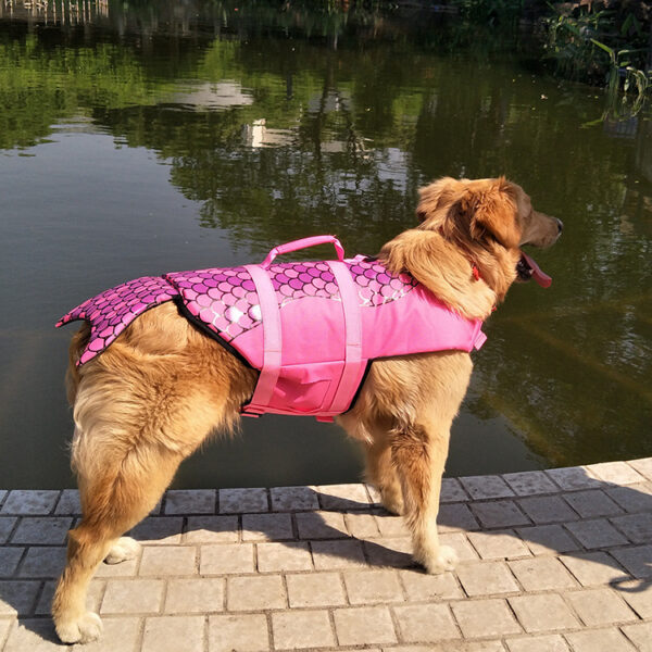 Haustier Schwimmweste Hai Meerjungfrau Badeanzug Hund Badeanzug Sicherheit Anzug Hund – Bild 2