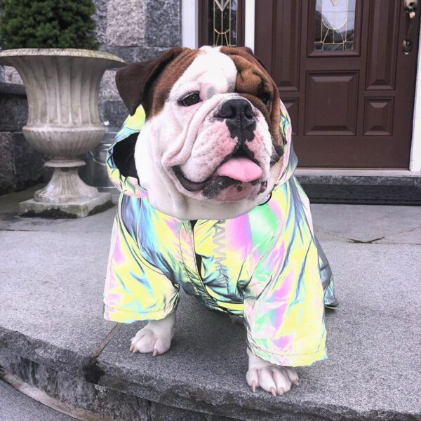 Winddichter und regendichter North Dog Face Dog Großer Hunderegenmantel Hund Haustier Stormtrooper Mantel – Bild 2