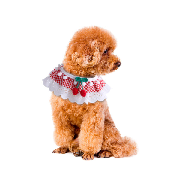Fee Stil Haustier Spitze Schal Blume Katze Kragen Hund – Bild 5