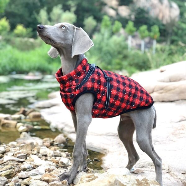 Winter Hundekleidung Weihnachten – Warmer Hundemantel für große Hunde – Gefütterte, dicke Winterkleidung für Hunde – Bild 8